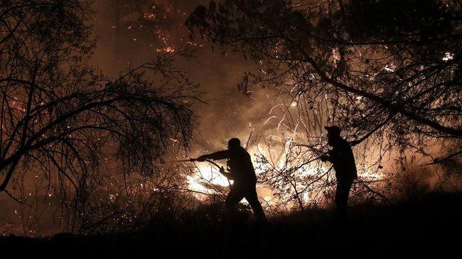 KEBAKARAN HUTAN JEJAS HAMPIR 660 HEKTAR DI DUA TAMAN NEGARA INDONESIA