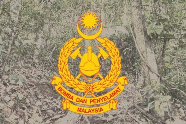 DI SEBALIK LALUAN HIJAU, DUA PENDAKI TERSESAT DI BOTANICAL GARDEN