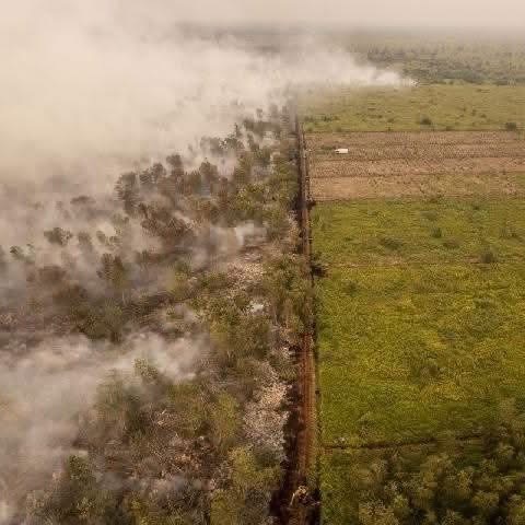 JEPUN TAMATKAN MISI PEMADAMAN KEBAKARAN DI KALIMANTAN, PERSOALAN PUNCA API TERUS MEMBAYANGI